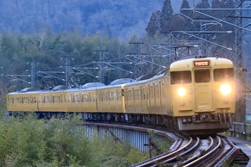 JR西日本 下関総合車両所岡山電車支所 115系 D-08編成