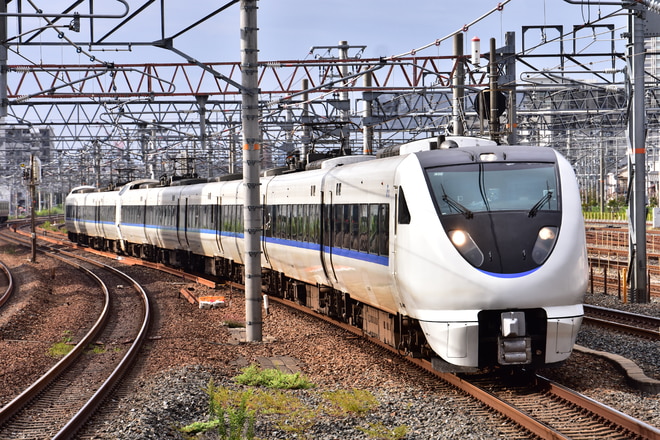 d165c652e810a1274c97649f271591