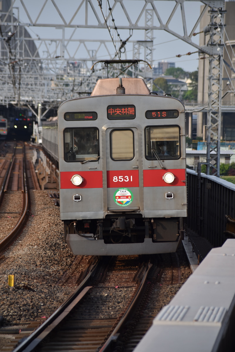 JR東日本  8500系 