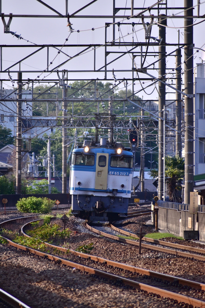 JR東日本  EF65 