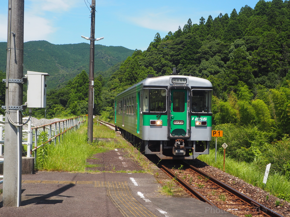 JR四国 徳島運転所 キハ1200形 1256