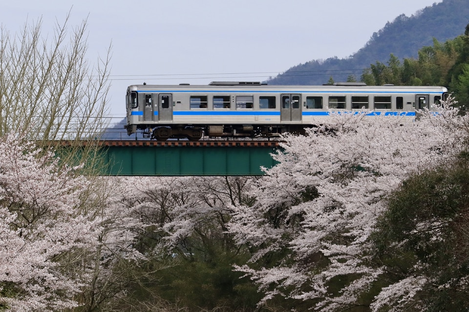 JR四1000形1013の写真