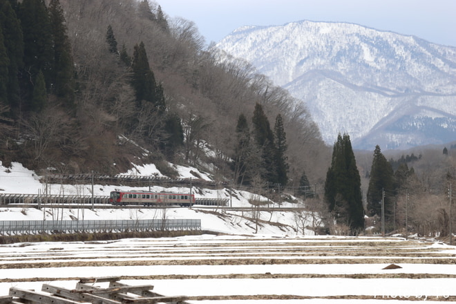 SR1系 の写真 |鉄道写真投稿サイトTrain-Directory