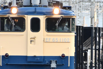 JR東日本 尾久車両センター EF65 1102