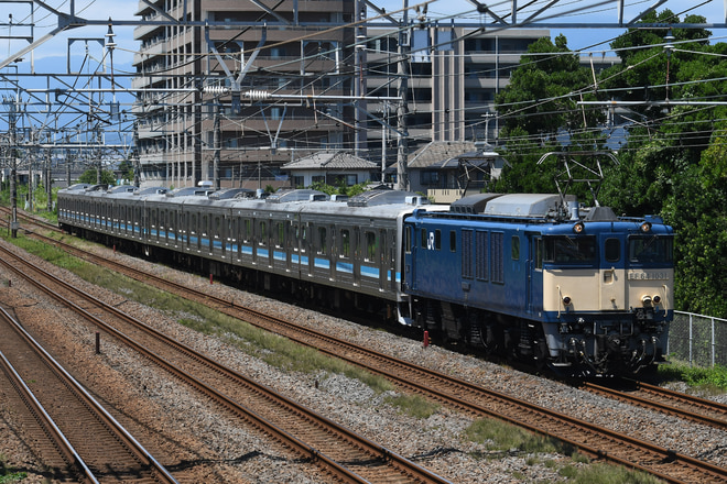長岡車両センターEF64形EF64-1031を平塚～茅ヶ崎間で撮影した写真