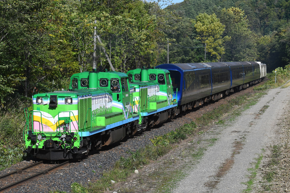 2本まとめて　森伊蔵 新色登場!】薄型設計で使いやすい430L 2ドア冷凍冷蔵庫から新色