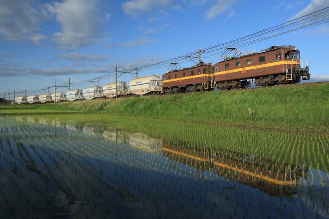 保々車両区ED45形452を保々～北勢中央公園口間で撮影した写真