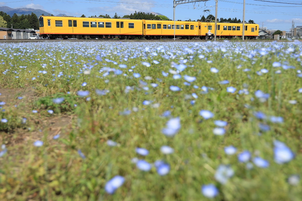 三岐鉄道 北大社車庫 270系 K71