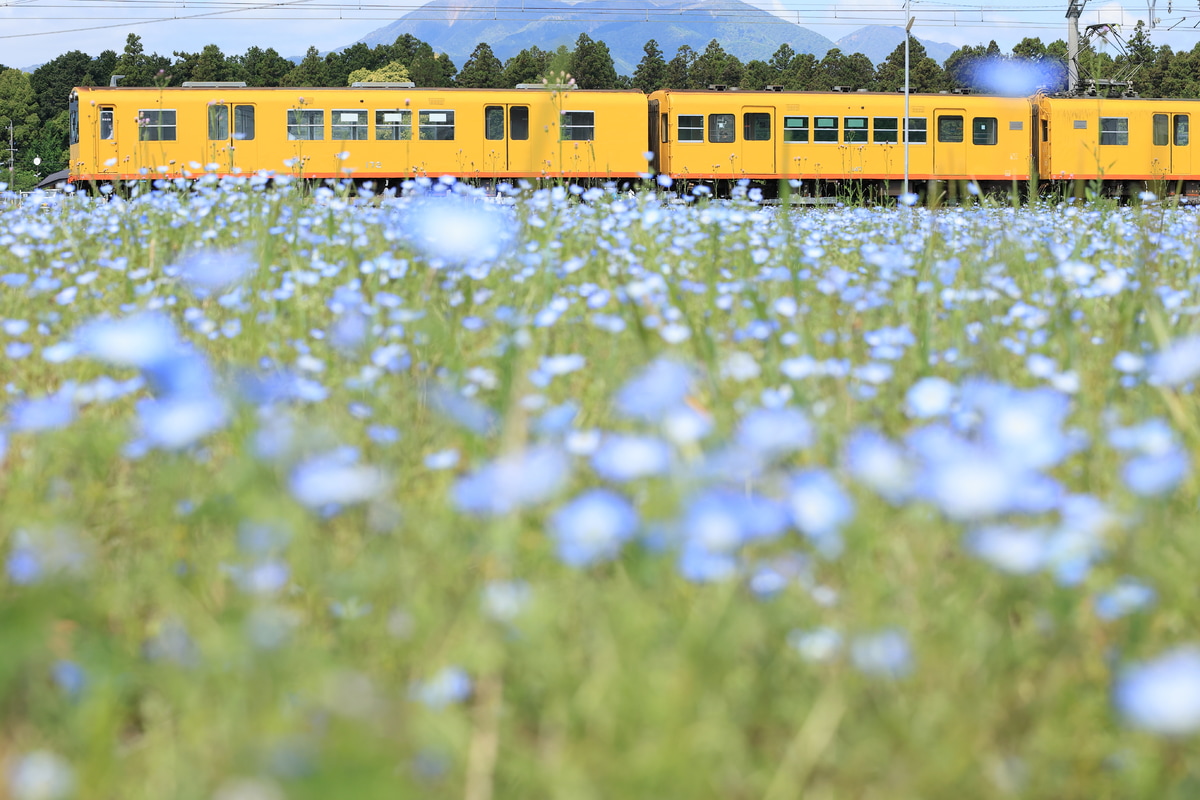 三岐鉄道 北大社車庫 270系 K72