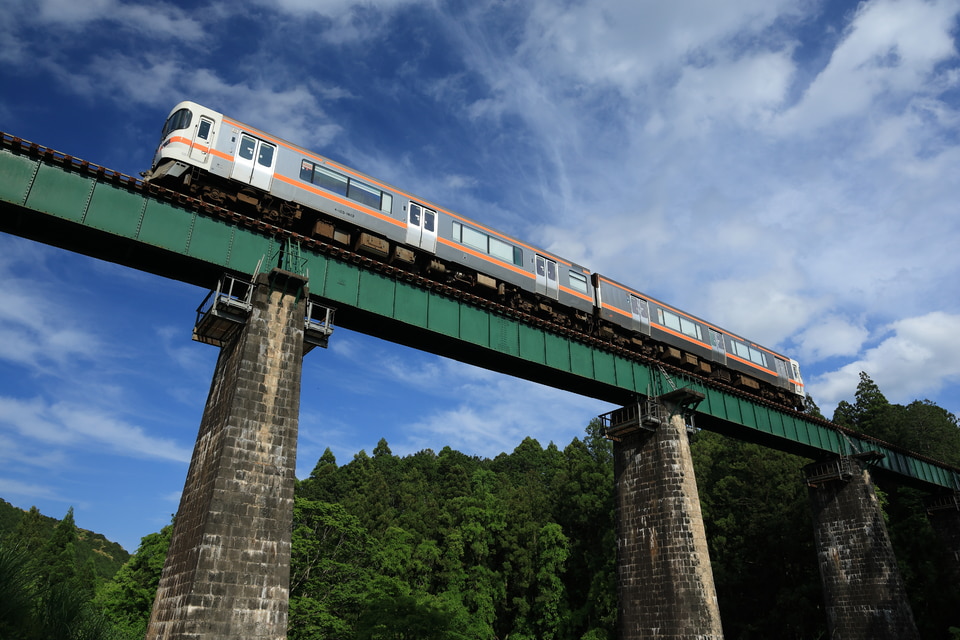 JR海キハ25形M113編成の写真