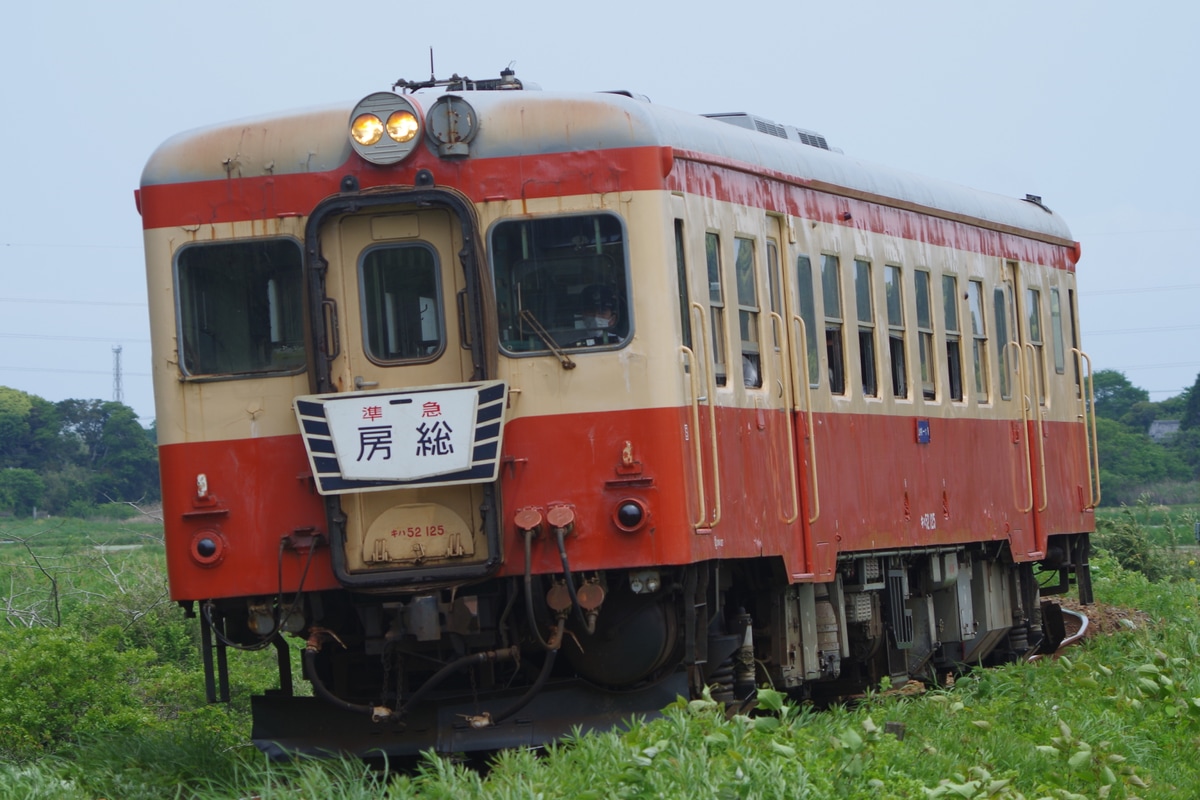 いすみ鉄道 大多喜車両基地 キハ52 125