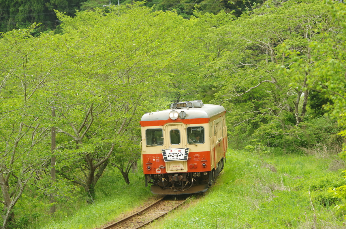 いすみ鉄道 大多喜車両基地 キハ52 125