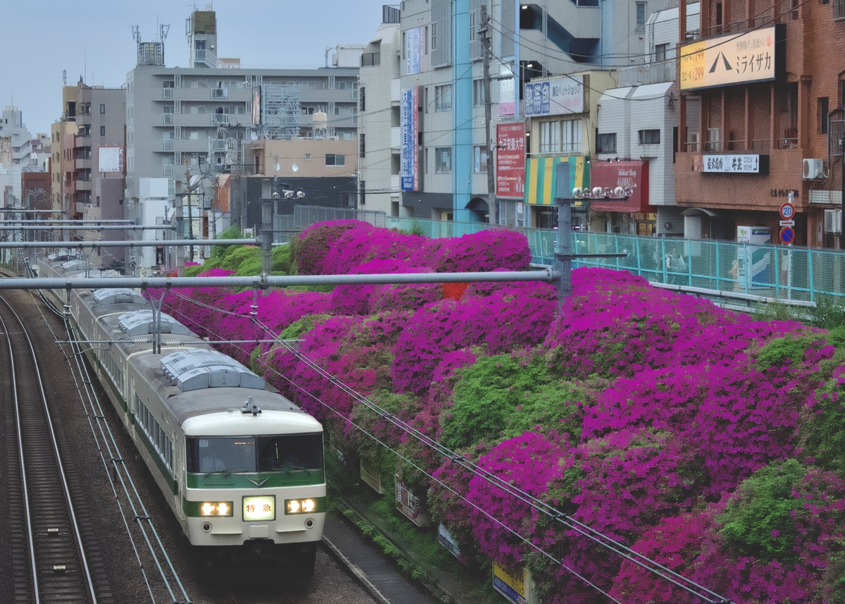 JR東日本 大宮総合車両センター東大宮センター 185系 C1編成