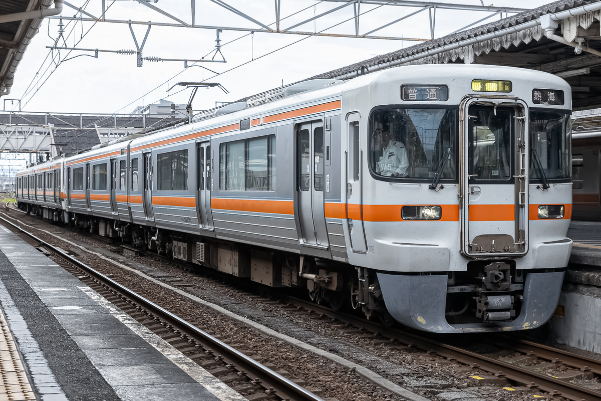 JR東海  313系 シスW5編成