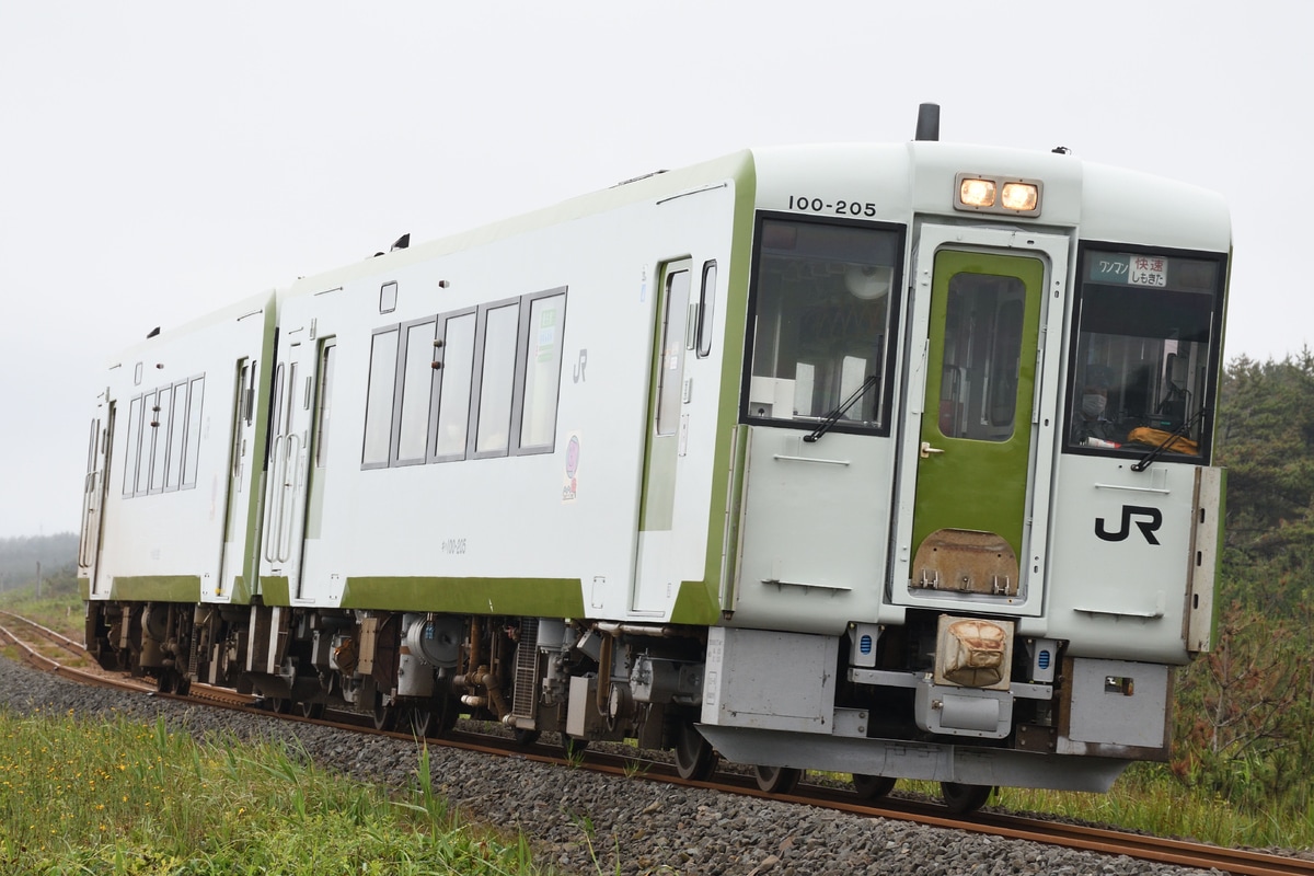 JR東日本 八戸運輸区 キハ100系 キハ100-205