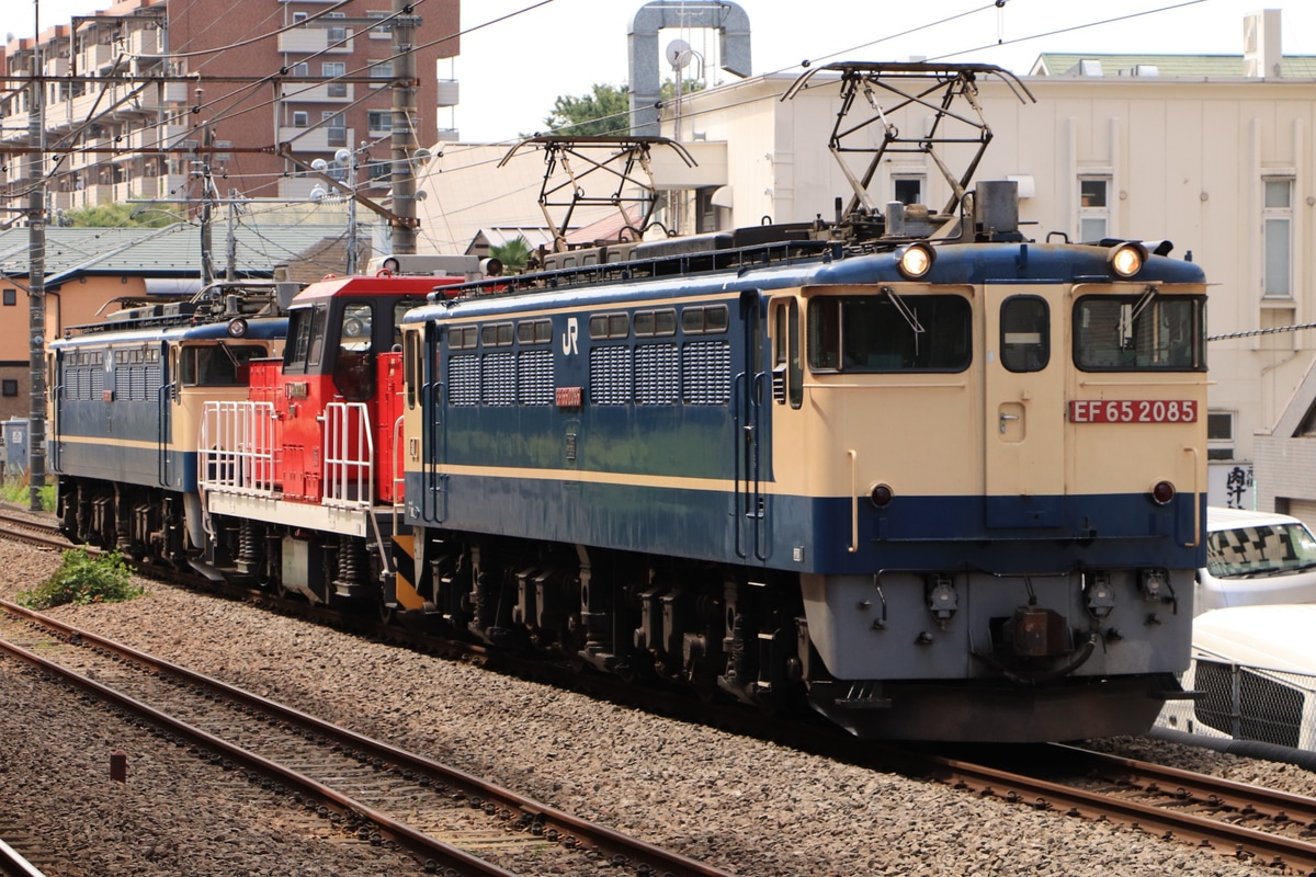 JR貨物 新鶴見機関区 EF65 2085