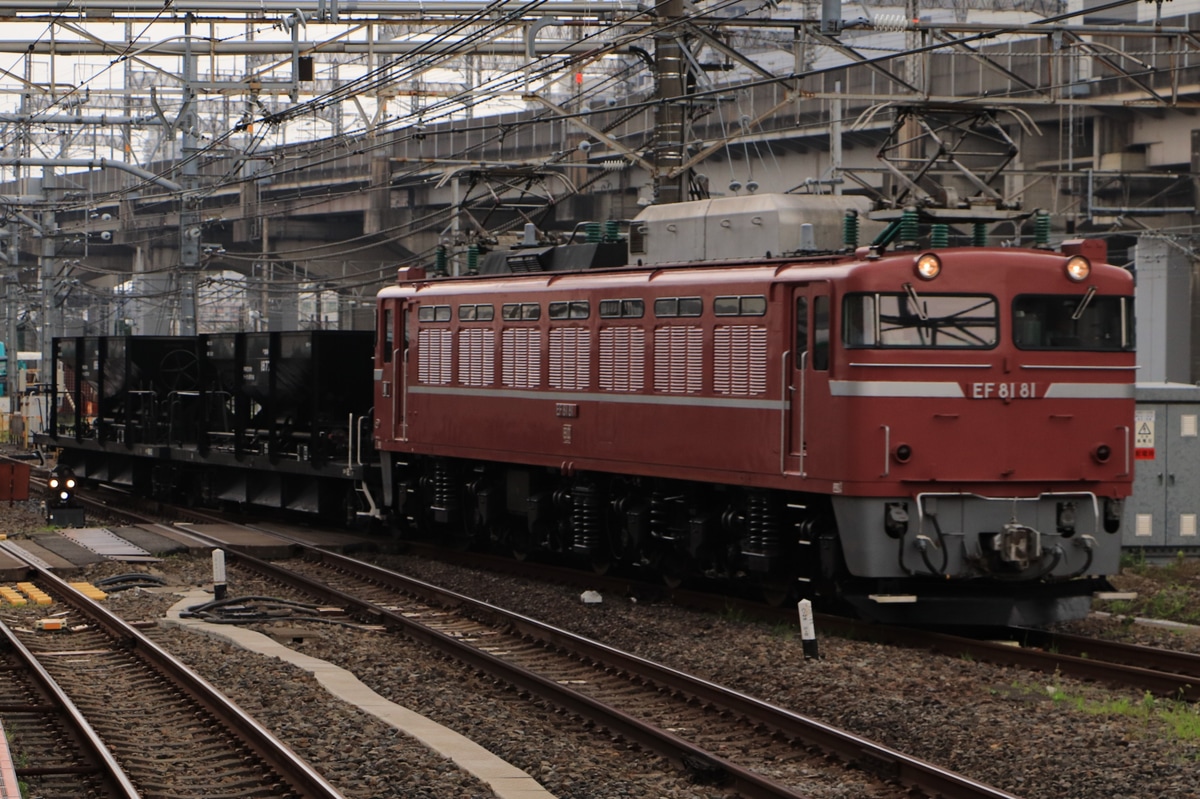 JR東日本 尾久車両センター EF81 81