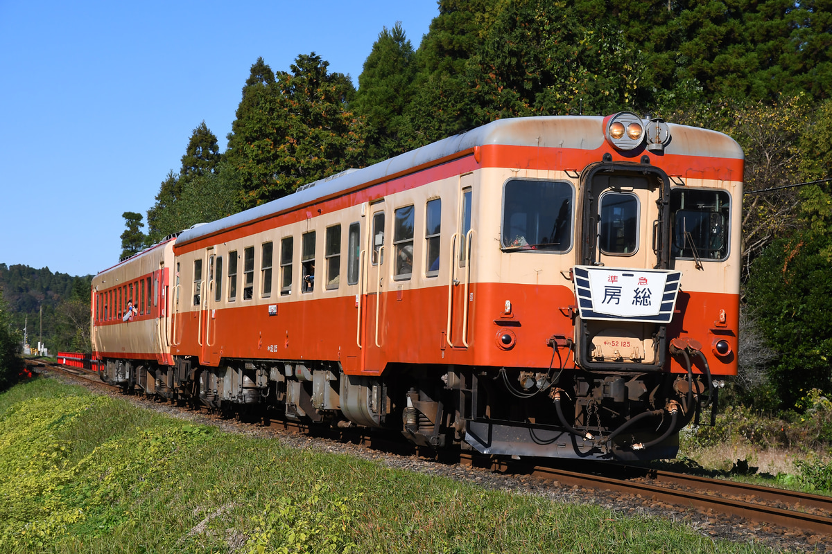 いすみ鉄道  キハ52系 キハ52-125