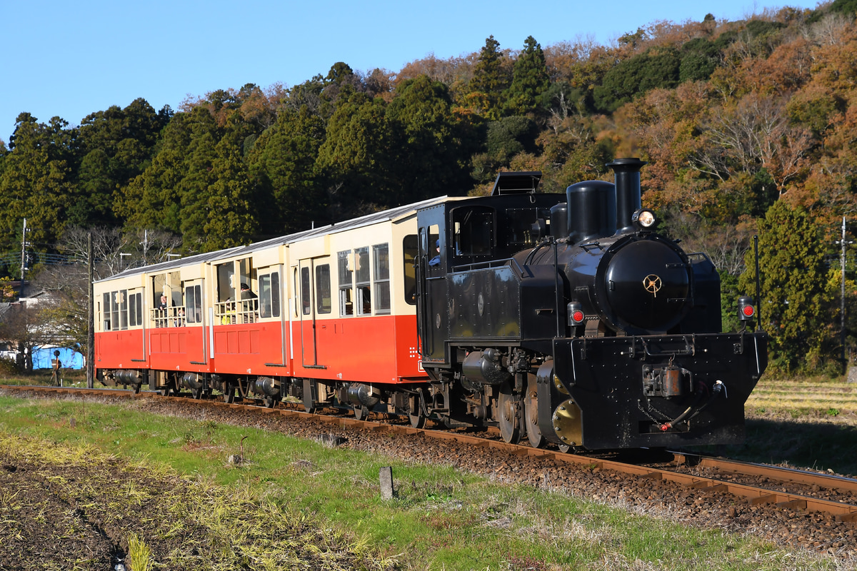 小湊鐵道 五井機関区 DB4形 DB4