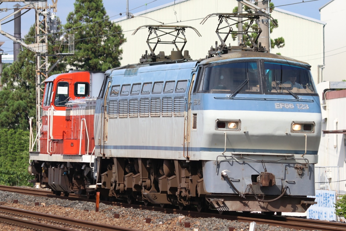 JR貨物 吹田機関区 EF66形 EF66-123