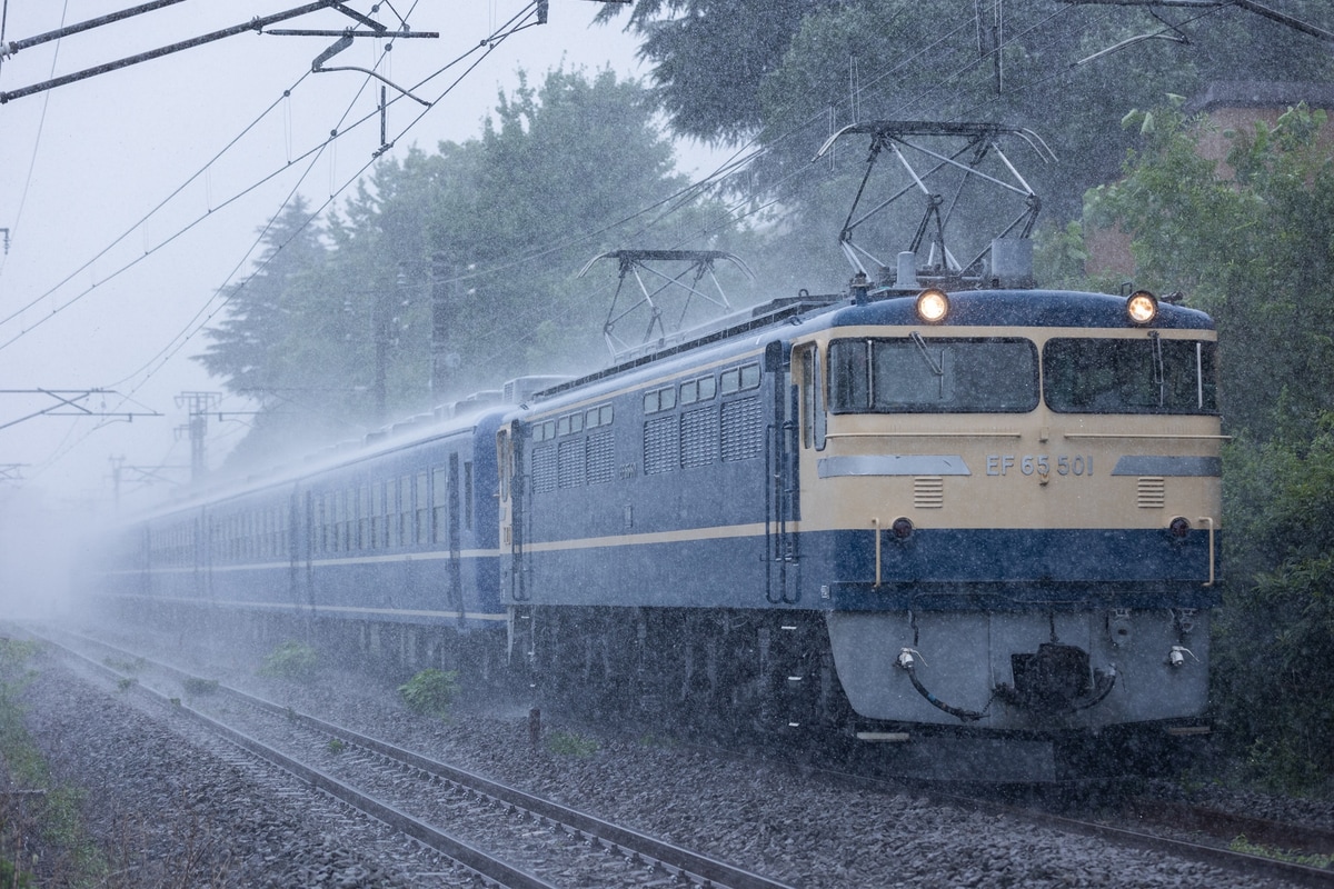 JR東日本 高崎機関区 EF65 