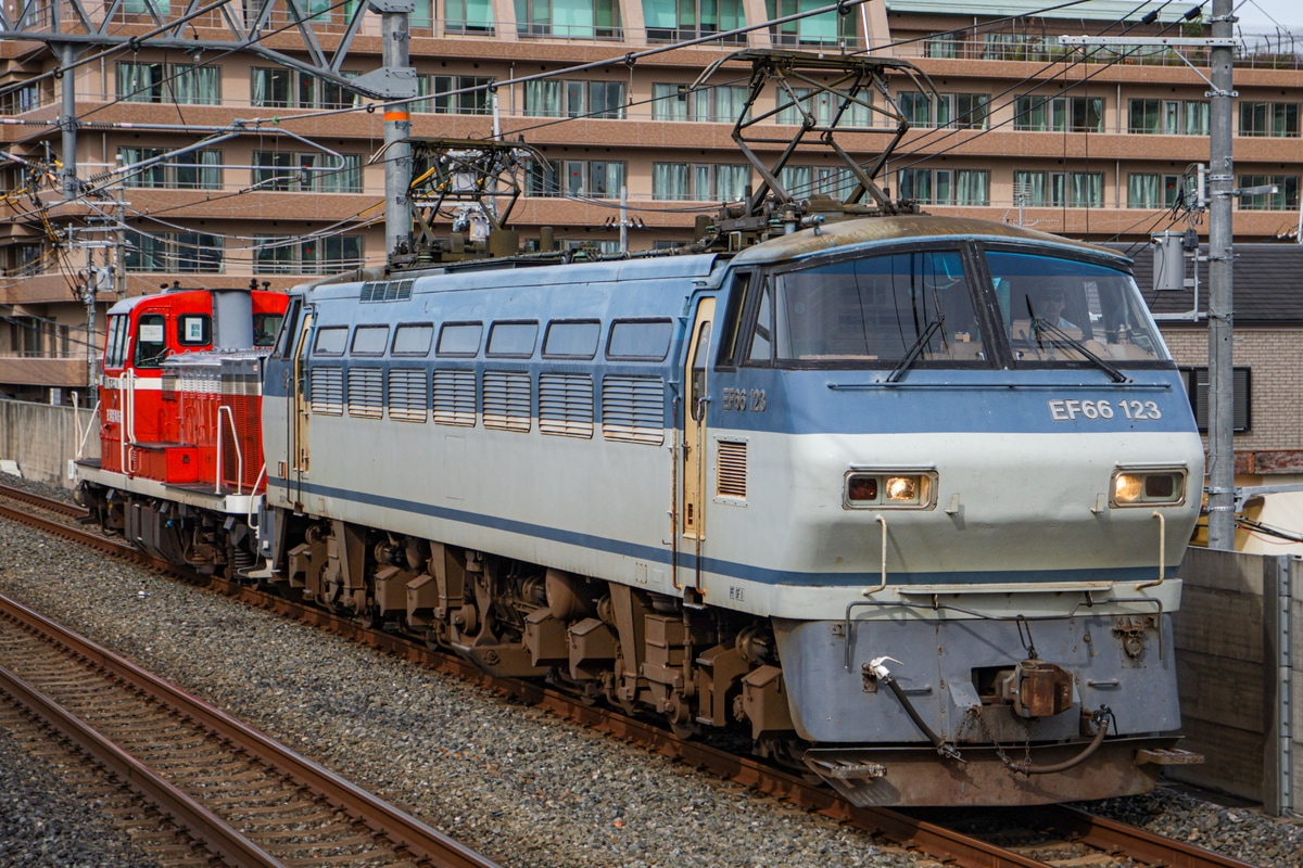 JR西日本  EF66 123