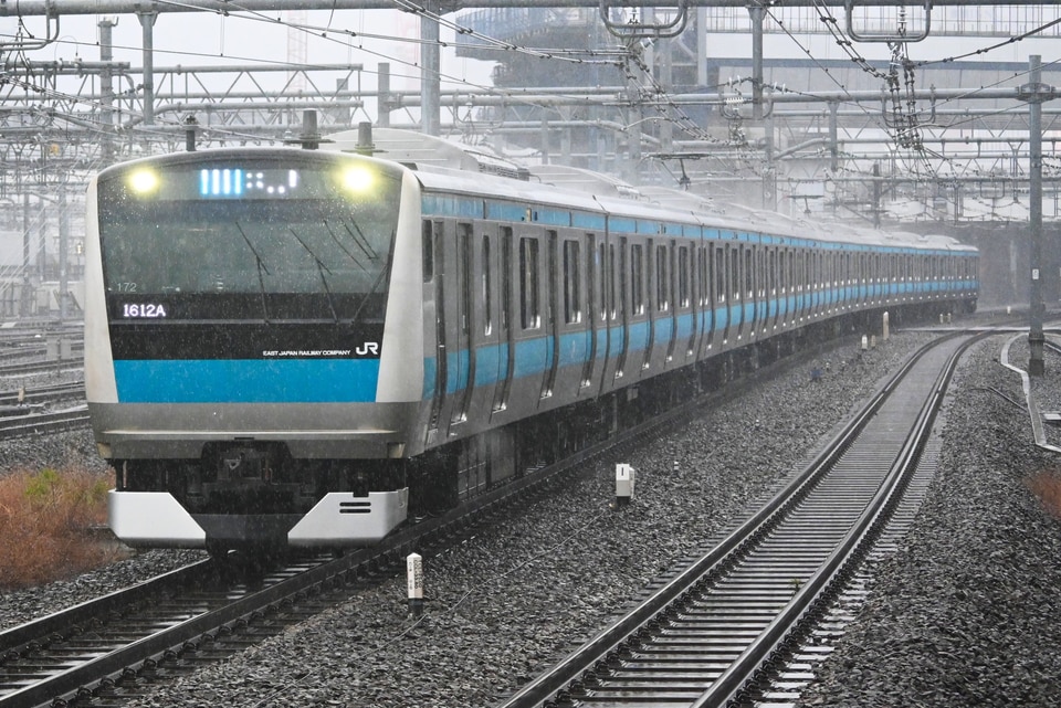 JR東E233系サイ172編成<br class="br-sp" />(ウラ172編成)の写真
