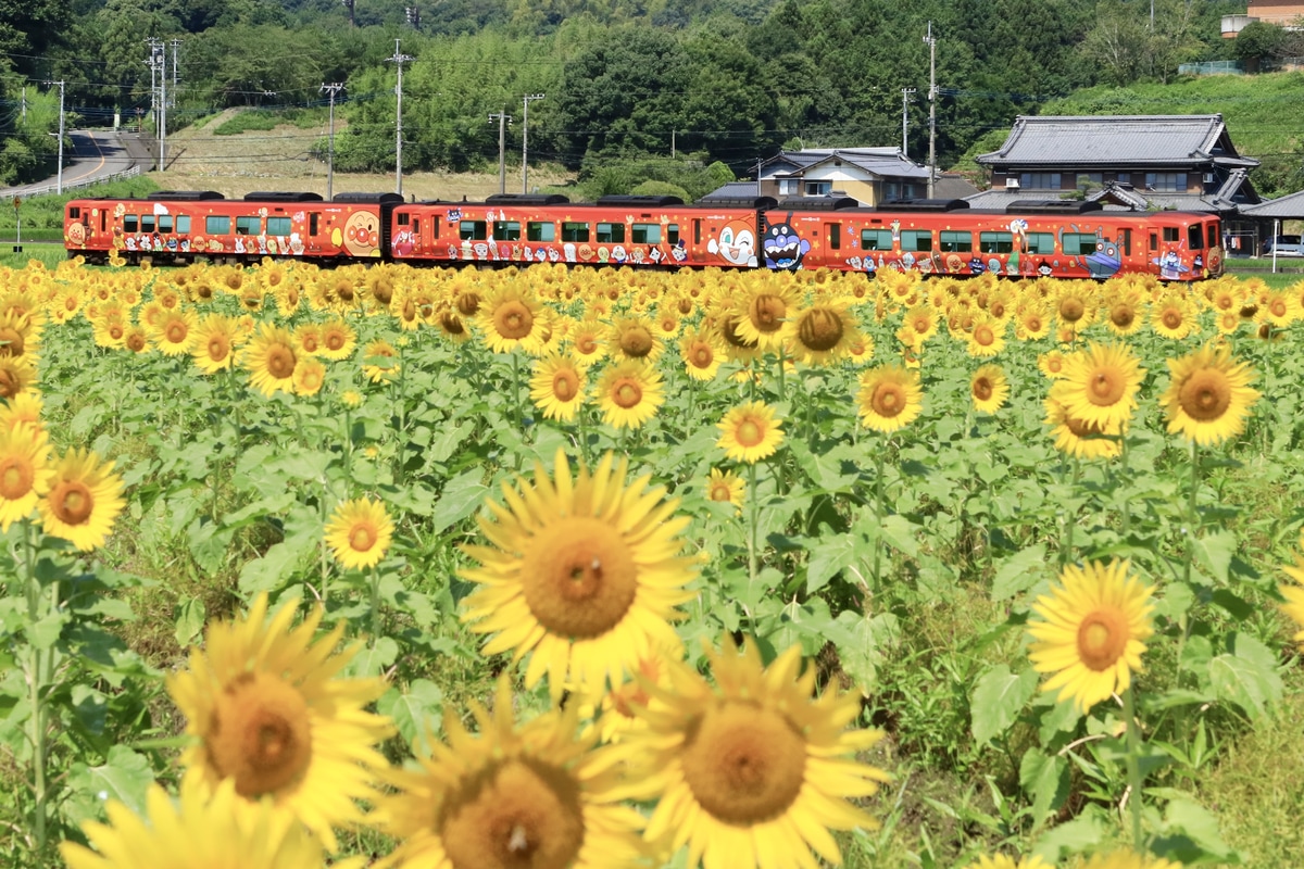 JR四国 高知運転所 2700系 2701