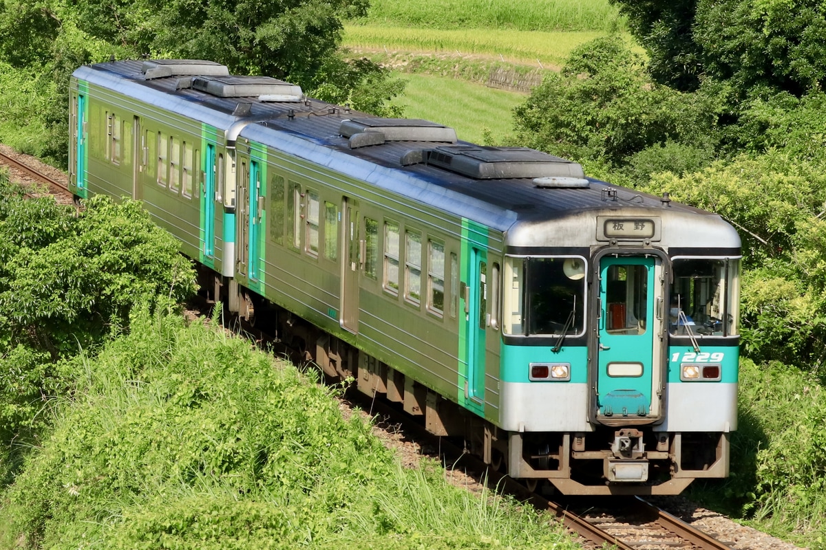 JR四国 徳島運転所 1200形 1229