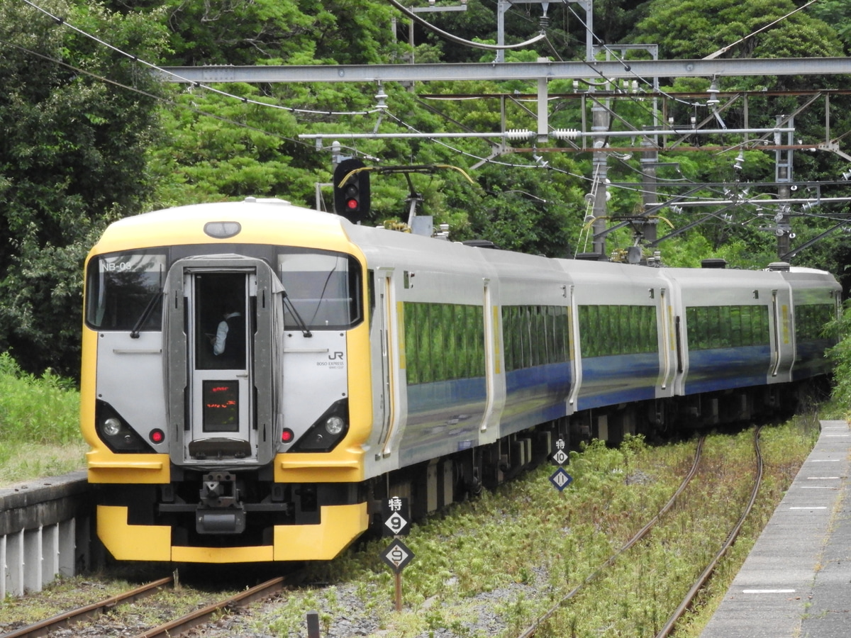 JR東日本 幕張車両センター E257系500番台 NB03