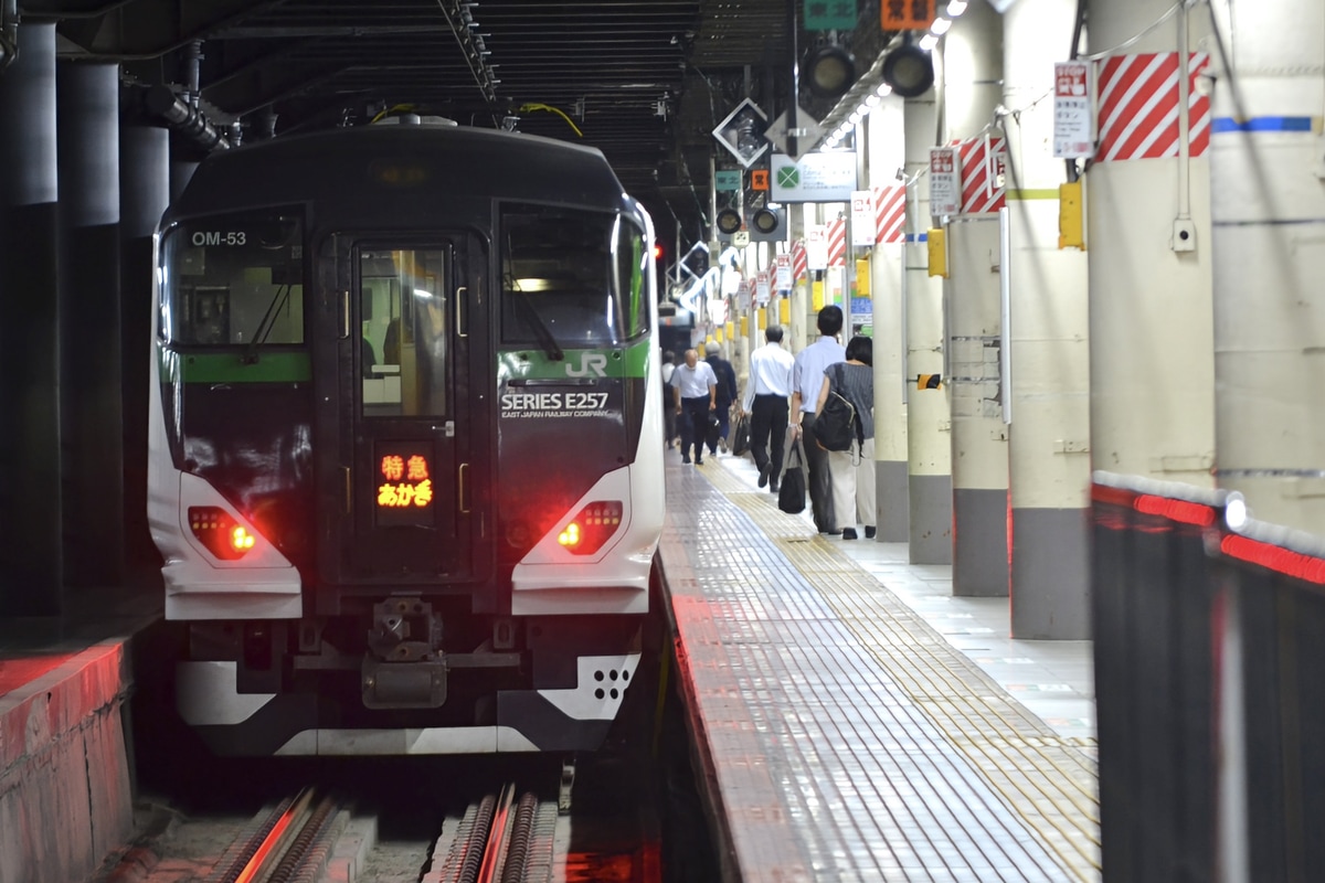 JR東日本 大宮総合車両センター東大宮センター E257系 オオOM-53編成