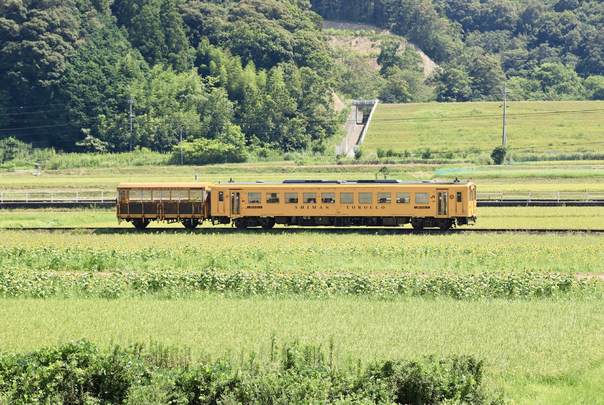 JR四国 松山運転所 キハ54 4