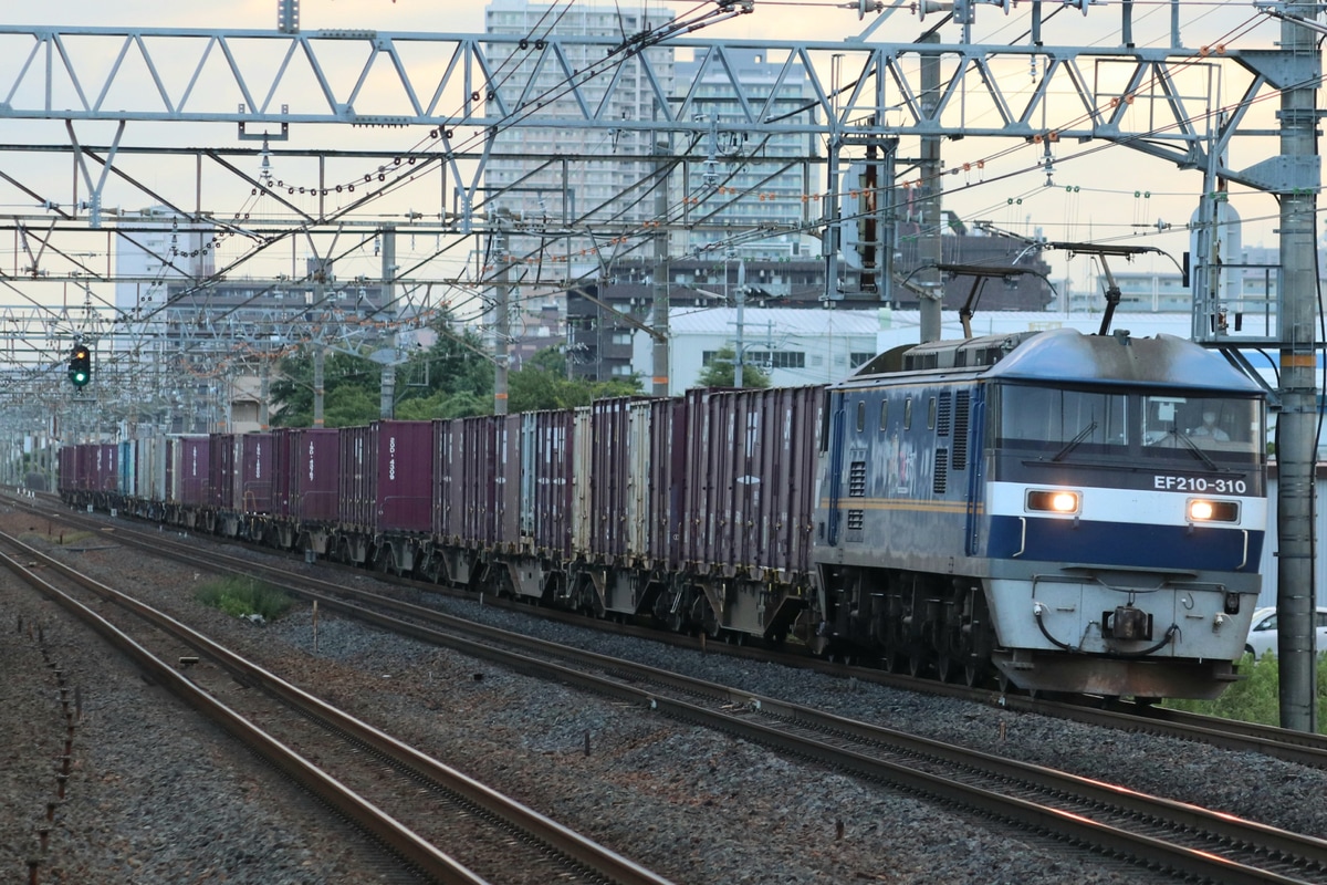 JR貨物 吹田機関区 EF210形 EF210-310