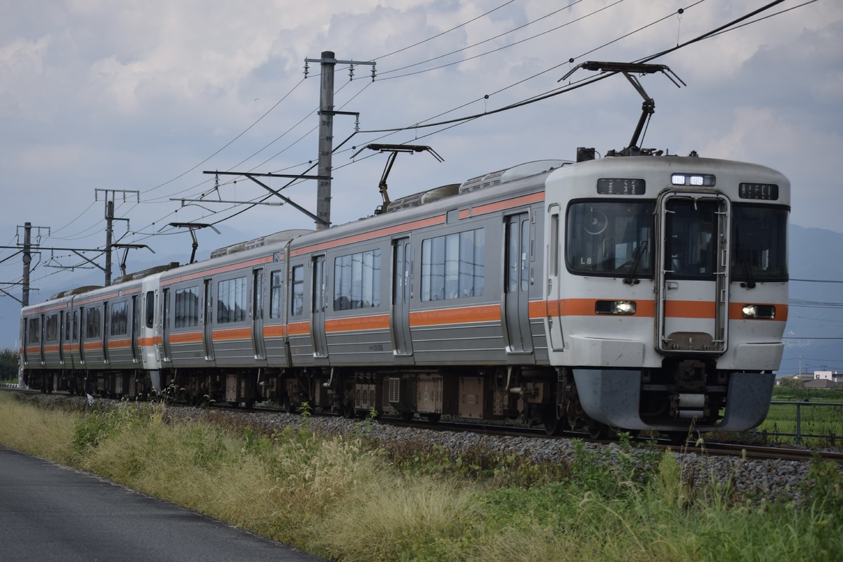 JR東海 静岡車両区 313系 シスL8編成