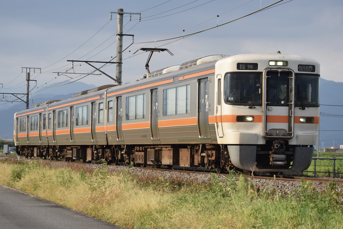 JR東海 静岡車両区 313系 シスN8編成