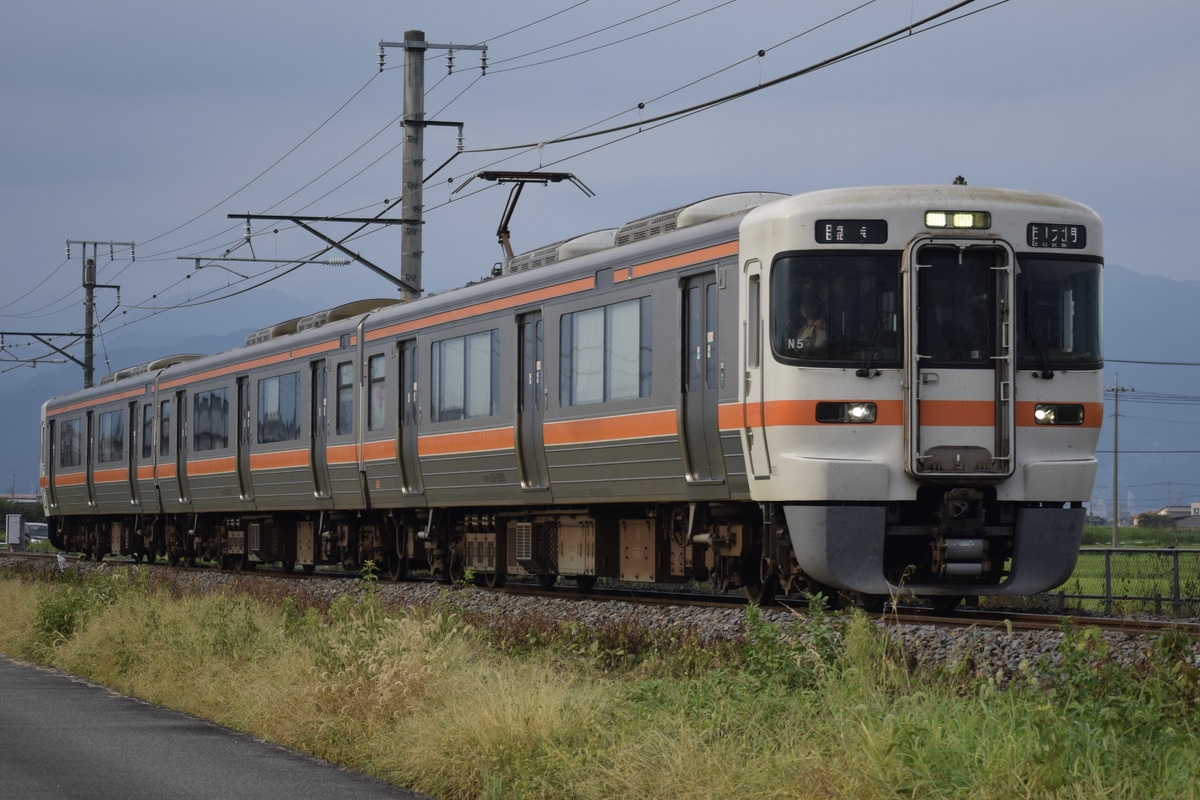 JR東海 静岡車両区 313系 シスN5編成