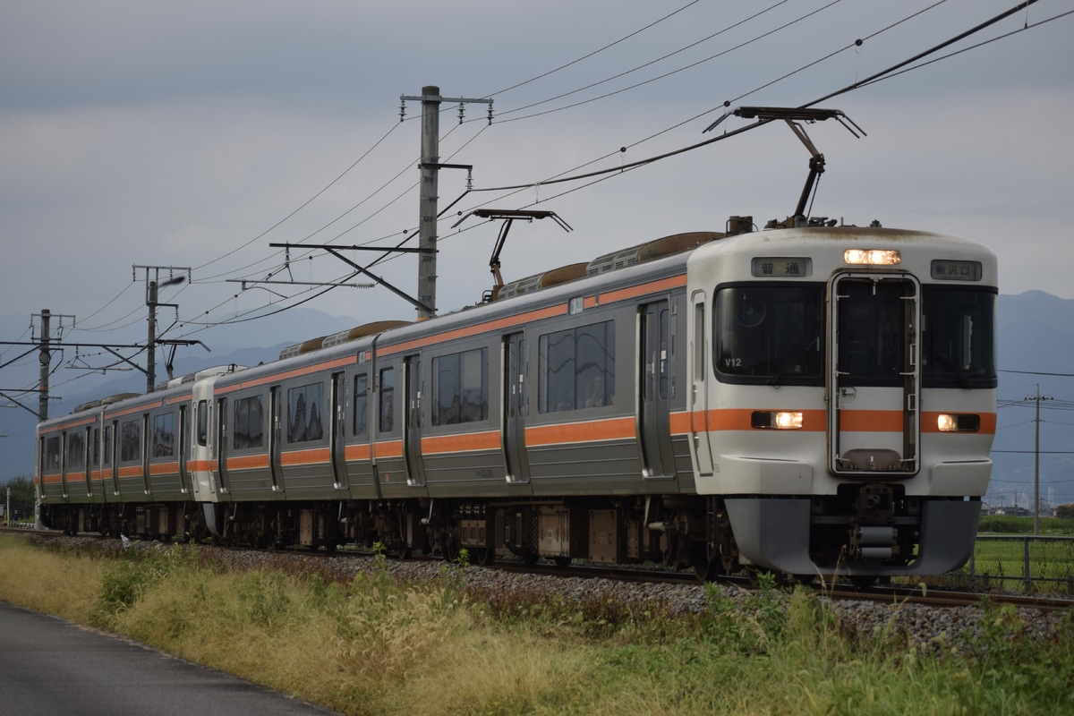 JR東海 静岡車両区 313系 シスV12編成