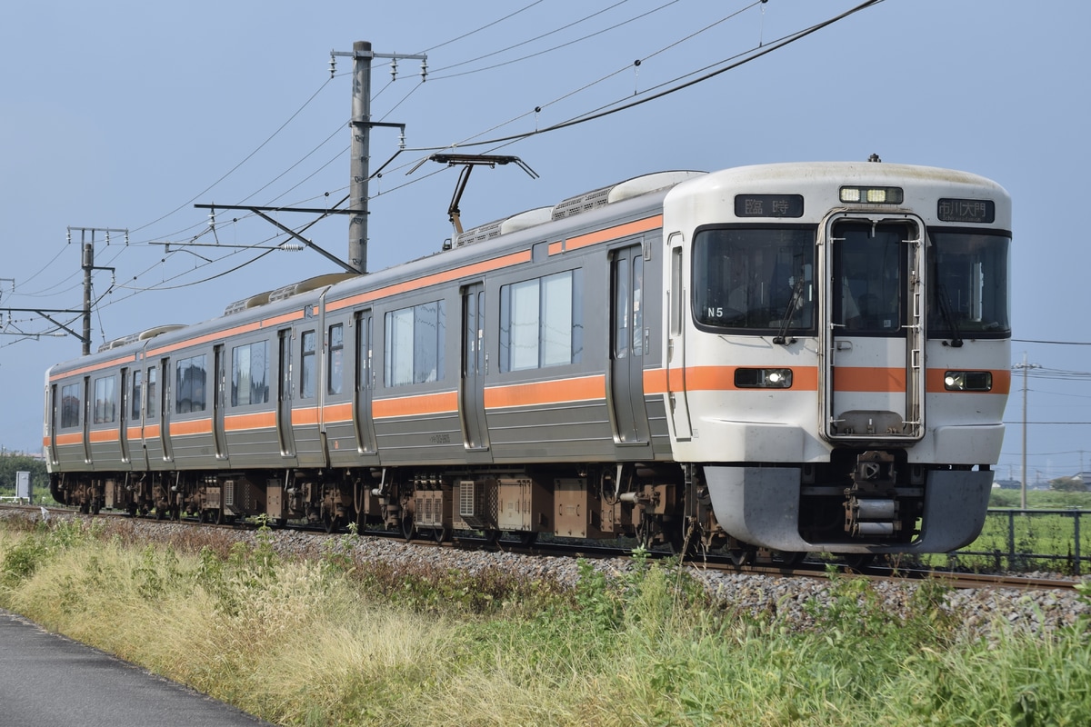 JR東海 静岡車両区 313系 シスN5編成