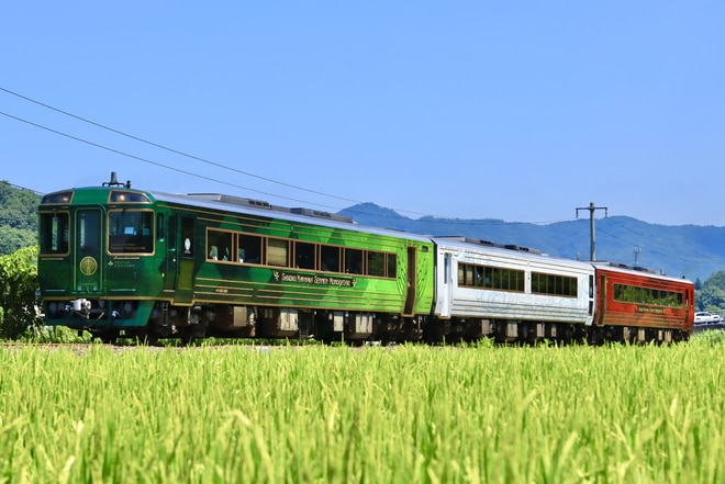 高知運転所キロ185系1001を琴平～塩入間で撮影した写真