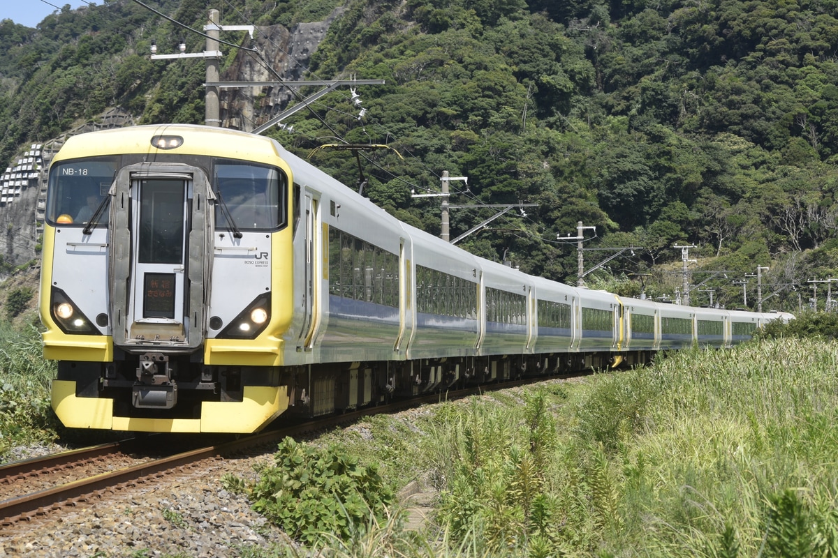 JR東日本 幕張車両センター E257系 マリNB-18編成