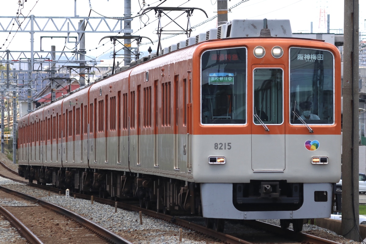 阪神電気鉄道 尼崎車庫 8000系 8215F