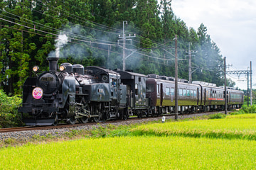 東武鉄道 下今市機関区 C11 207