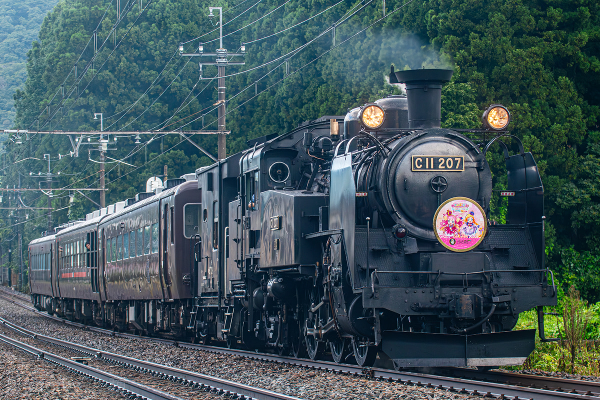 東武鉄道 下今市機関区 C11 207