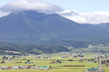 JR北海道 旭川運転所 DE15  1534