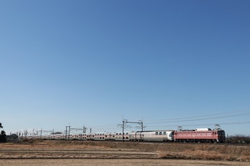 JR東日本 尾久車両センター EF81形 81