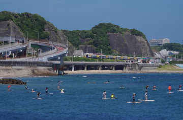 JR東日本 幕張車両センター本区 255系 マリBe-02編成