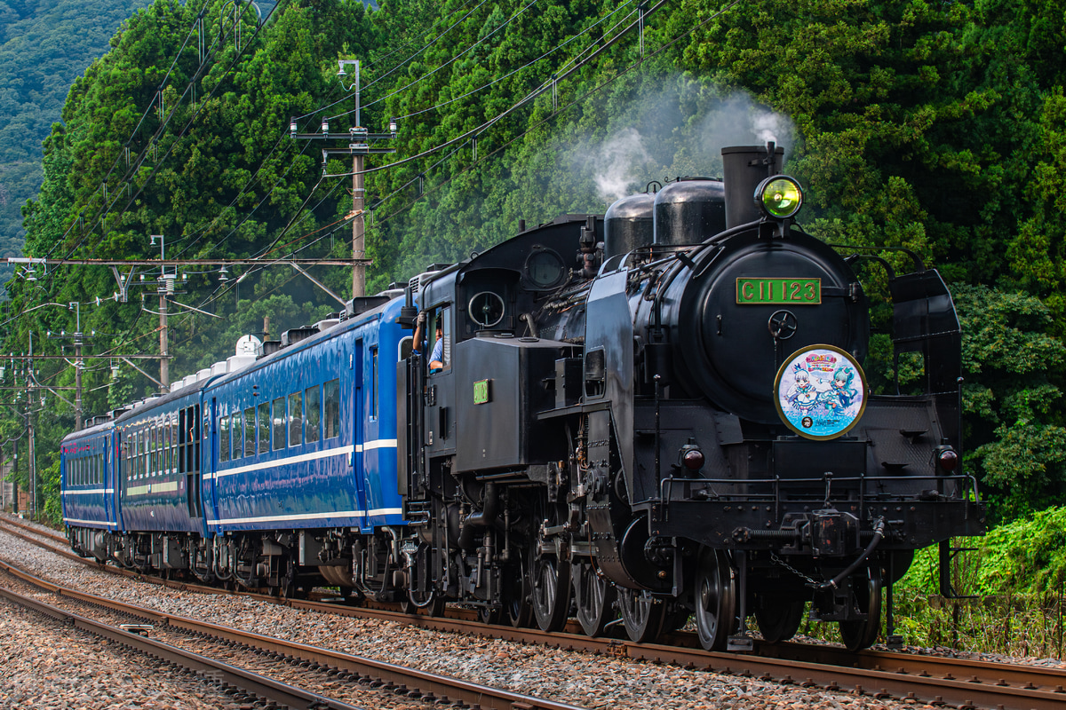 東武鉄道 下今市機関区 C11 123