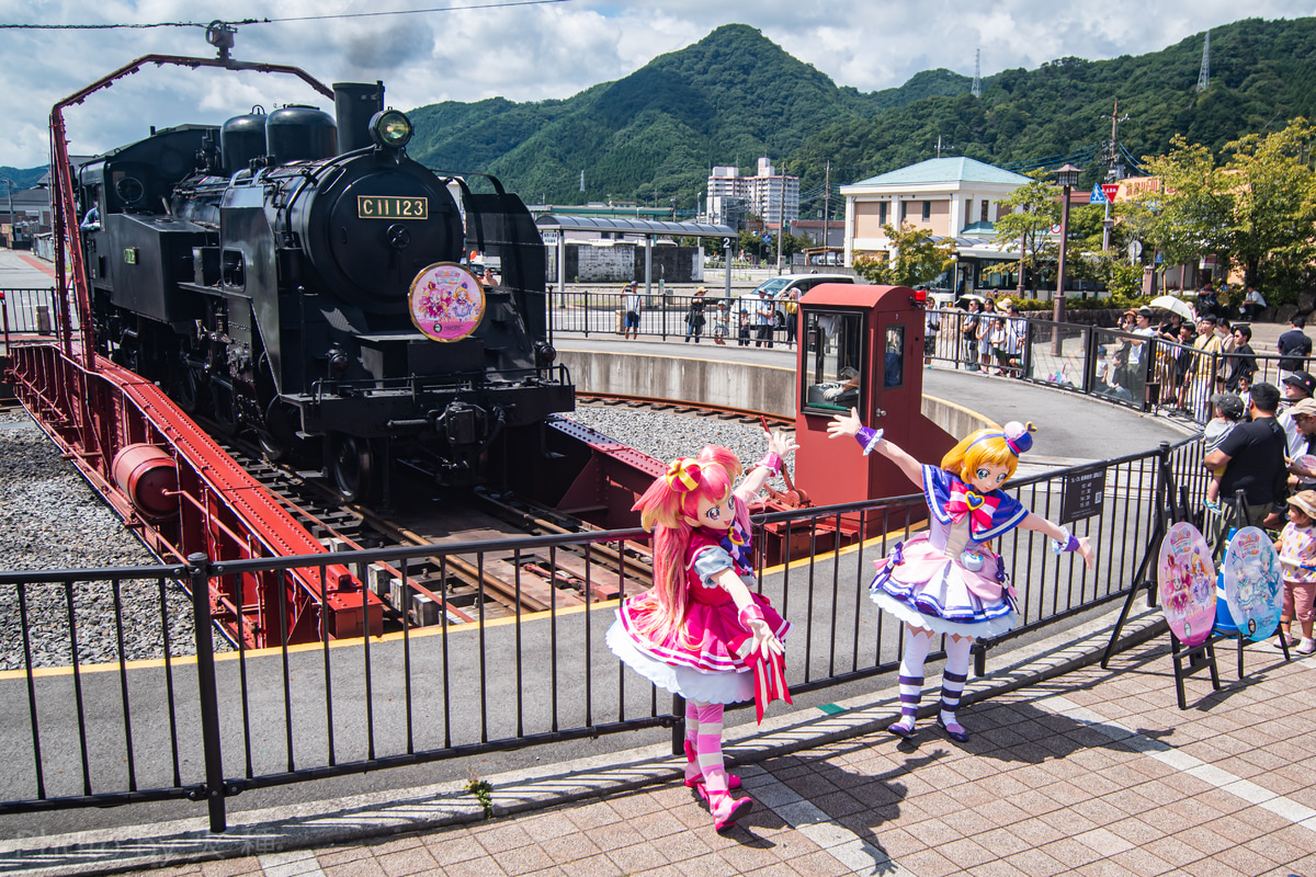 東武鉄道 下今市機関区 C11 123