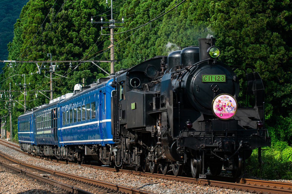 東武鉄道 下今市機関区 C11 123