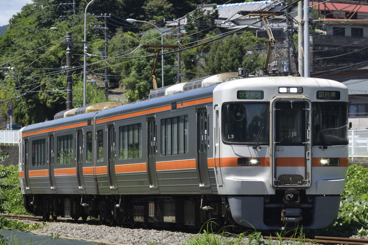 JR東海 静岡車両区 313系 シスL3編成